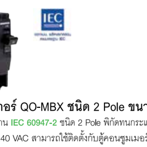 เมนเซอร์กิตเบรกเกอร์ QOvs Pro ชนิด 2 Pole ขนาด 80-100A